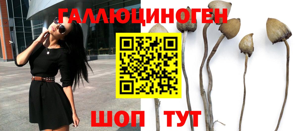 Воскресенск  Псилоцибиновые грибы мухоморы  Псилоцибиновые грибы Psilocybine cubensis  Вход с VPN 